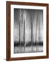 USA, California, Lake Tahoe, Abstract of Bare Aspen Trees and Snow at Carnelian Bay-Ann Collins-Framed Photographic Print