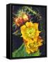 USA, California, Lakeside, Prickly Pear Cactus Wildflowers-Jaynes Gallery-Framed Stretched Canvas