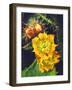 USA, California, Lakeside, Prickly Pear Cactus Wildflowers-Jaynes Gallery-Framed Photographic Print