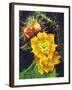 USA, California, Lakeside, Prickly Pear Cactus Wildflowers-Jaynes Gallery-Framed Photographic Print