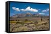 USA, California, Lee Vining, Vistas Along June Lake Loop Road-Bernard Friel-Framed Stretched Canvas