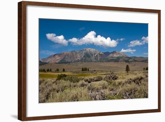 USA, California, Lee Vining, Vistas Along June Lake Loop Road-Bernard Friel-Framed Photographic Print