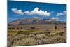 USA, California, Lee Vining, Vistas Along June Lake Loop Road-Bernard Friel-Mounted Photographic Print