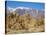 USA, California, Lone Pine. Alabama Hills with the Inyo Mountains.-Jamie & Judy Wild-Stretched Canvas