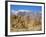 USA, California, Lone Pine. Alabama Hills with the Inyo Mountains.-Jamie & Judy Wild-Framed Photographic Print