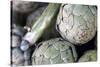 USA, California, Los Angeles. Artichokes at Hollywood Farmer's Market.-Kymri Wilt-Stretched Canvas