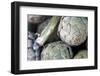 USA, California, Los Angeles. Artichokes at Hollywood Farmer's Market.-Kymri Wilt-Framed Photographic Print