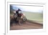 USA, California, Mammoth Lakes. Blur of motocross racer.-Jaynes Gallery-Framed Premium Photographic Print