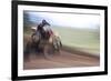 USA, California, Mammoth Lakes. Blur of motocross racer.-Jaynes Gallery-Framed Premium Photographic Print