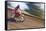 USA, California, Mammoth Lakes. Blur of motocross racer.-Jaynes Gallery-Framed Stretched Canvas