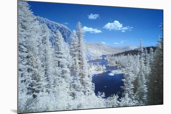 USA, California, Mammoth Lakes. Infrared overview of Twin Lakes.-Jaynes Gallery-Mounted Photographic Print