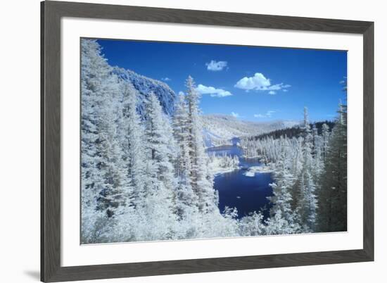 USA, California, Mammoth Lakes. Infrared overview of Twin Lakes.-Jaynes Gallery-Framed Premium Photographic Print