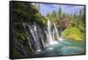 USA, California, McArthur-Burney Falls Memorial State Park. Burney Falls along Burney Creek-Christopher Reed-Framed Stretched Canvas