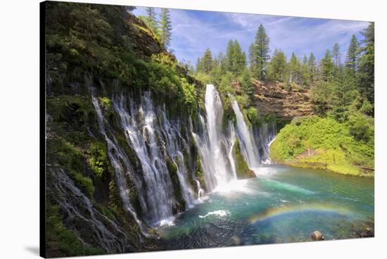 USA, California, McArthur-Burney Falls Memorial State Park. Burney Falls along Burney Creek-Christopher Reed-Stretched Canvas
