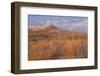 USA, California, Mohave National Preserve. Grasses and Sand Dunes-Don Paulson-Framed Photographic Print
