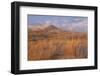 USA, California, Mohave National Preserve. Grasses and Sand Dunes-Don Paulson-Framed Photographic Print