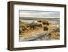 USA, California. Mojave Desert, Mojave National Preserve, Zzyzx, Mojave Soda lake.-Alison Jones-Framed Photographic Print