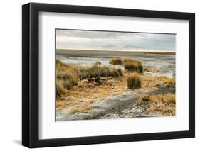 USA, California. Mojave Desert, Mojave National Preserve, Zzyzx, Mojave Soda lake.-Alison Jones-Framed Photographic Print