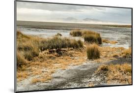 USA, California. Mojave Desert, Mojave National Preserve, Zzyzx, Mojave Soda lake.-Alison Jones-Mounted Photographic Print