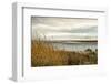 USA, California. Mojave Desert, Mojave National Preserve, Zzyzx, Mojave Soda lake.-Alison Jones-Framed Photographic Print