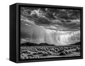 USA, California, Mojave National Preserve, Desert Rain Squall at Sunset-Ann Collins-Framed Stretched Canvas