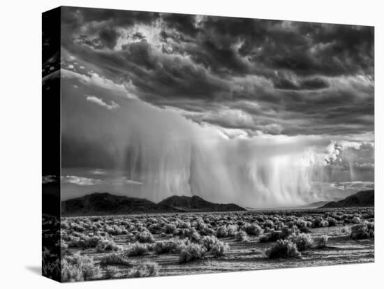 USA, California, Mojave National Preserve, Desert Rain Squall at Sunset-Ann Collins-Stretched Canvas