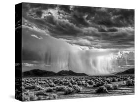USA, California, Mojave National Preserve, Desert Rain Squall at Sunset-Ann Collins-Stretched Canvas