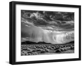 USA, California, Mojave National Preserve, Desert Rain Squall at Sunset-Ann Collins-Framed Premium Photographic Print