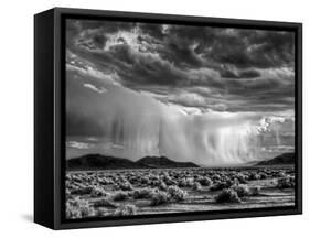 USA, California, Mojave National Preserve, Desert Rain Squall at Sunset-Ann Collins-Framed Stretched Canvas