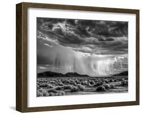 USA, California, Mojave National Preserve, Desert Rain Squall at Sunset-Ann Collins-Framed Photographic Print