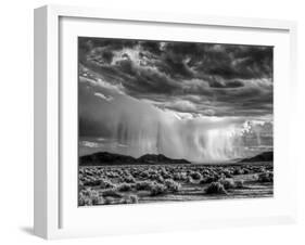 USA, California, Mojave National Preserve, Desert Rain Squall at Sunset-Ann Collins-Framed Photographic Print