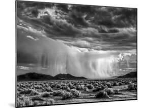USA, California, Mojave National Preserve, Desert Rain Squall at Sunset-Ann Collins-Mounted Photographic Print