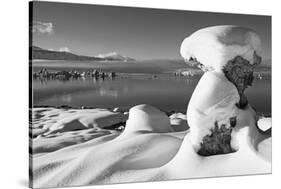 USA, California, Mono Lake. Snow-Covered Tufa-Dennis Flaherty-Stretched Canvas