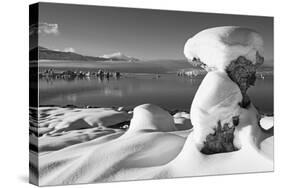 USA, California, Mono Lake. Snow-Covered Tufa-Dennis Flaherty-Stretched Canvas