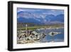 USA, California, Mono Lake South Tufa Reserve-Bernard Friel-Framed Photographic Print