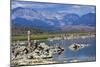 USA, California, Mono Lake South Tufa Reserve-Bernard Friel-Mounted Photographic Print