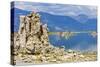 USA, California, Mono Lake South Tufa Reserve-Bernard Friel-Stretched Canvas