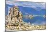 USA, California, Mono Lake South Tufa Reserve-Bernard Friel-Mounted Photographic Print