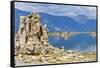 USA, California, Mono Lake South Tufa Reserve-Bernard Friel-Framed Stretched Canvas