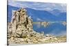 USA, California, Mono Lake South Tufa Reserve-Bernard Friel-Stretched Canvas