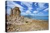 USA, California, Mono Lake South Tufa Reserve-Bernard Friel-Stretched Canvas