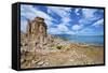 USA, California, Mono Lake South Tufa Reserve-Bernard Friel-Framed Stretched Canvas