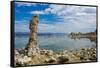 USA, California, Mono Lake South Tufa Reserve-Bernard Friel-Framed Stretched Canvas