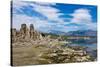 USA, California, Mono Lake South Tufa Reserve-Bernard Friel-Stretched Canvas