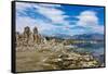 USA, California, Mono Lake South Tufa Reserve-Bernard Friel-Framed Stretched Canvas