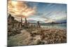 USA, California, Mono Lake. Tufa Formations.-Joe Restuccia III-Mounted Photographic Print