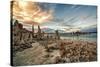 USA, California, Mono Lake. Tufa Formations.-Joe Restuccia III-Stretched Canvas