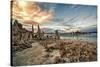 USA, California, Mono Lake. Tufa Formations.-Joe Restuccia III-Stretched Canvas