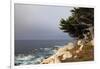 USA, California, Monterey. 17-Mile Drive Coast Near Ghost Tree-Kymri Wilt-Framed Photographic Print