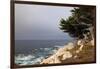 USA, California, Monterey. 17-Mile Drive Coast Near Ghost Tree-Kymri Wilt-Framed Photographic Print